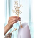 Mipow 香薰助眠加濕器 VASO 3.0 (USB版)